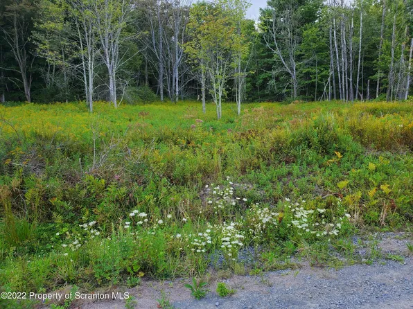 Forest Lake Rd, Montrose, PA 18801