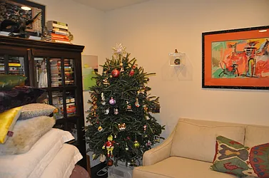 Rented by Sky Management