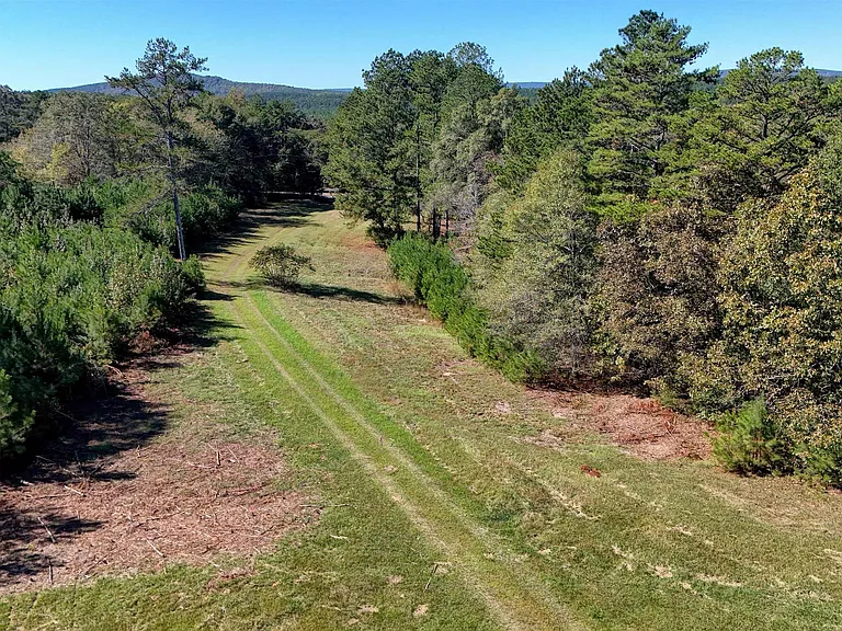 6370 County Road 91 — Photo 7