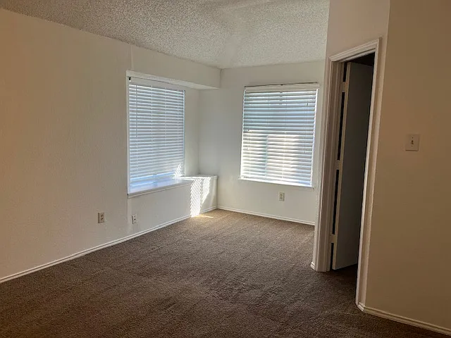 5933 Inks Lake Dr — Photo 26