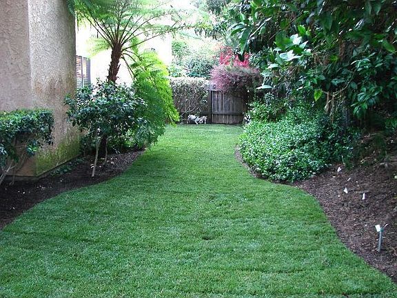 Large Private Yard