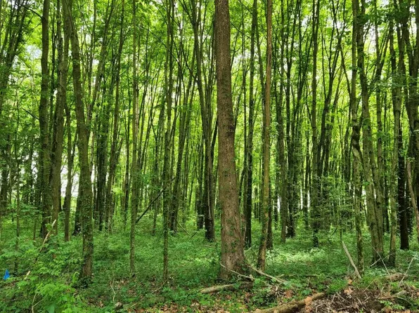 1 Crane Schoolhouse Rd, Bethel, OH 45106