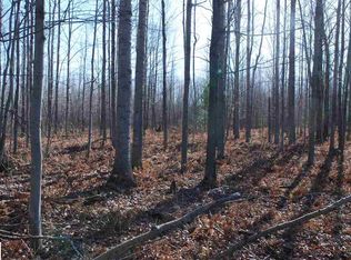 0 Towerline Rd, Turner, MI 48765