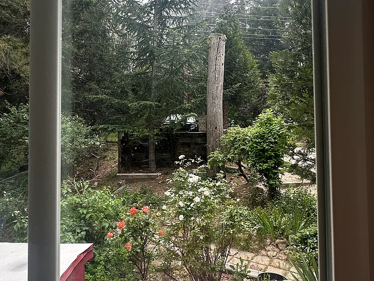 21932 Crest Forest Dr — Photo 6
