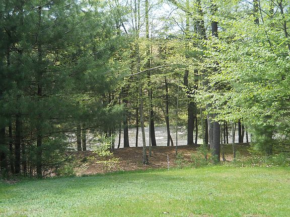 River view from yard