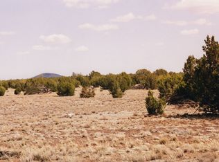 2039 McGihom Rd, Show Low, AZ 85901