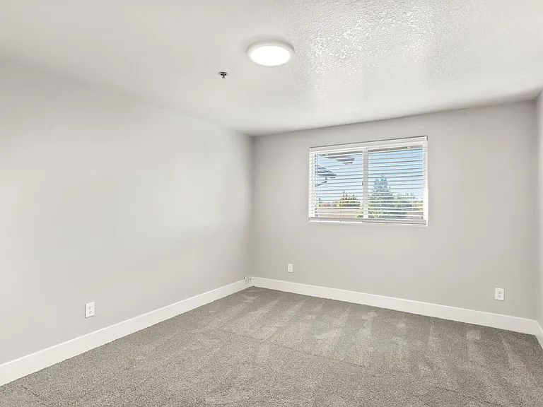 Veri 1319 — Photo 136