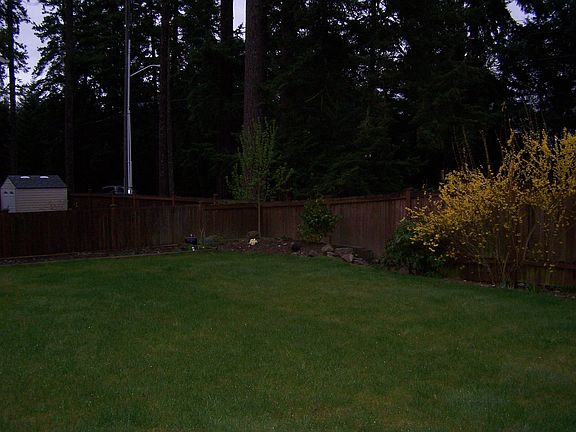 Front yard