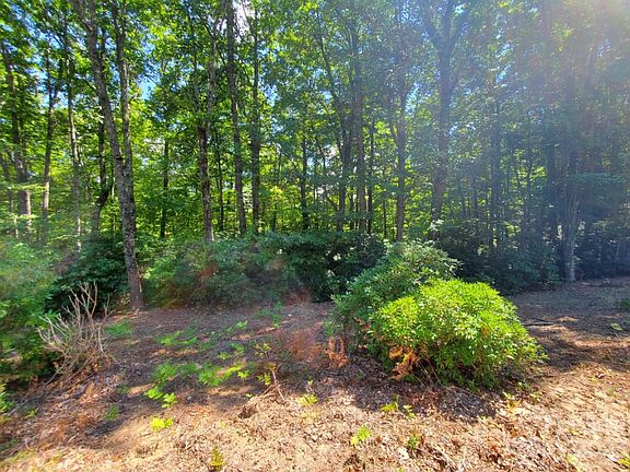 4th image of Pisgah Forest Dr #24-F