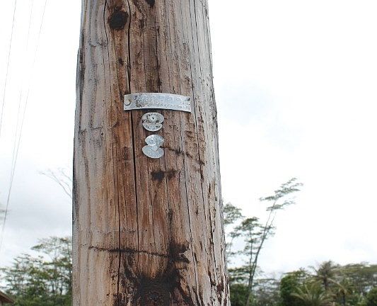 5th image of 17th Avenue Lokelani Lot 227