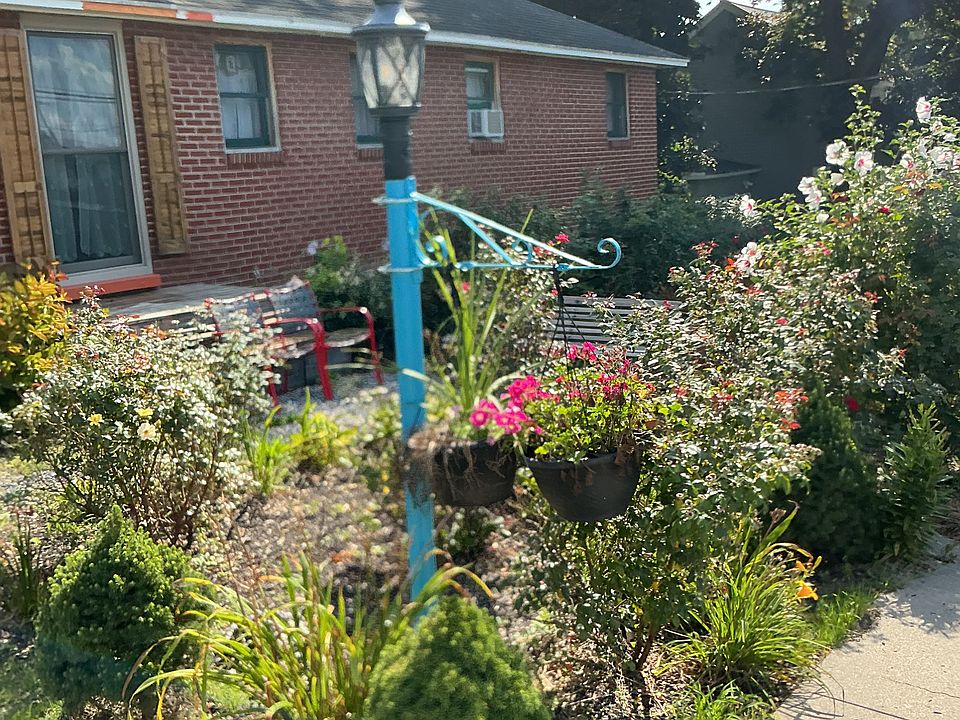 Front Of Home with 75 Rose Bushes.