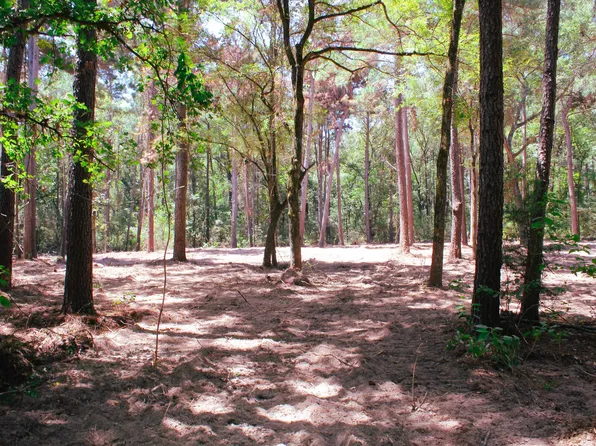 Tanyard Church Ln, Midway, TX 75852