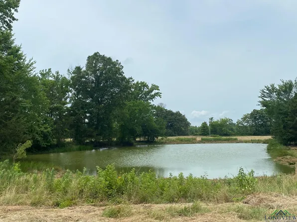 County Road 3216, Pittsburg, TX 75686