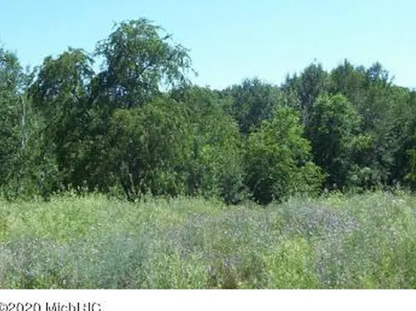 E #D, Newaygo, MI 49337