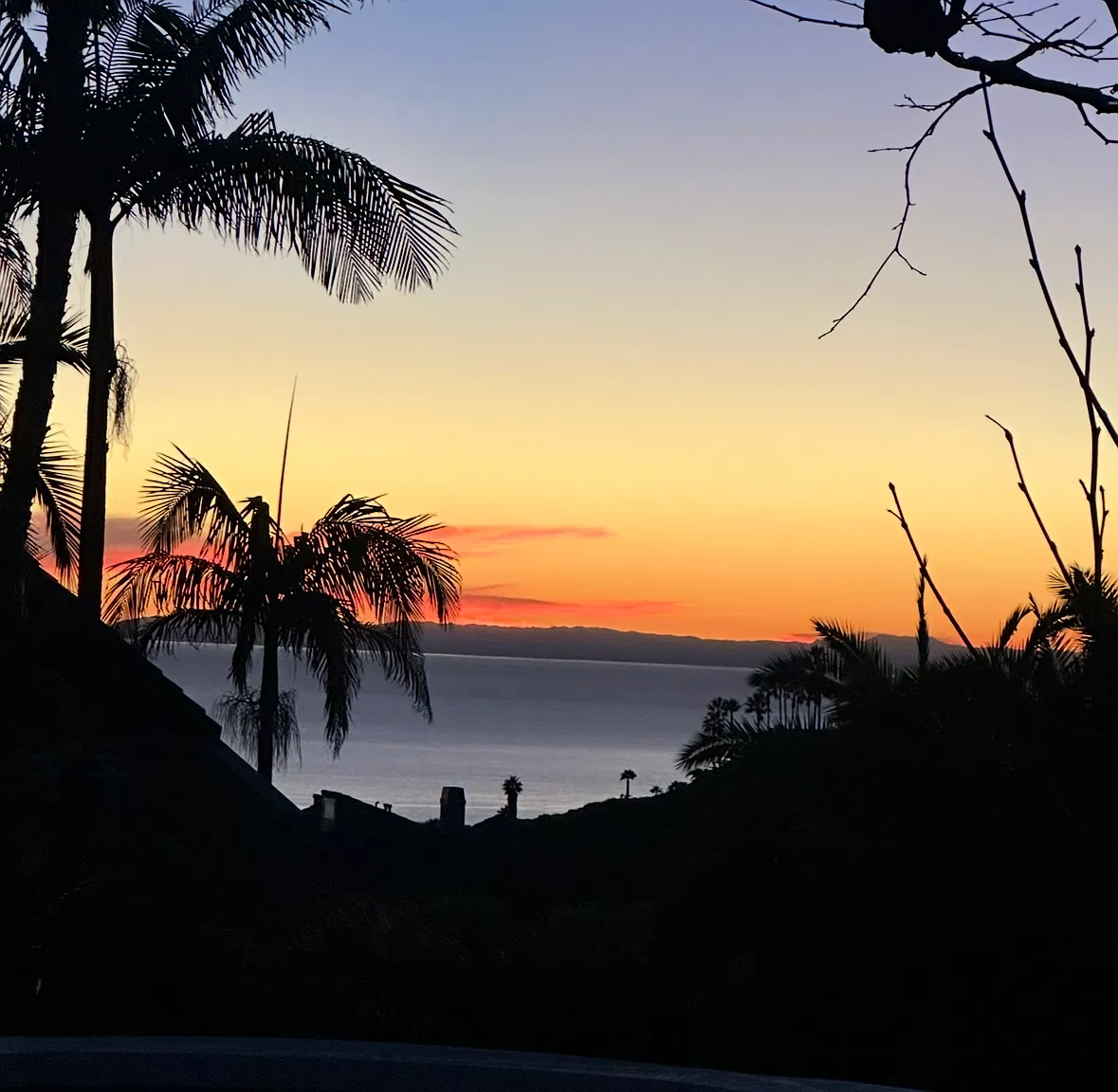 1 bed, 3200 sqft, $5,500 — Photo 4