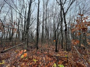 LOT 46 Louise Dr, Elmira, MI