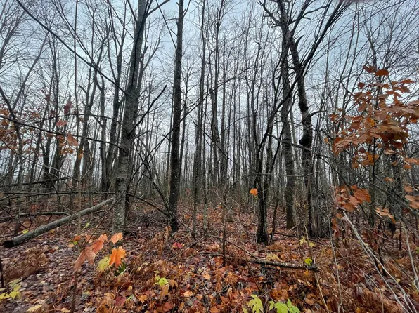 LOT 46 Louise Dr, Elmira, MI 49730