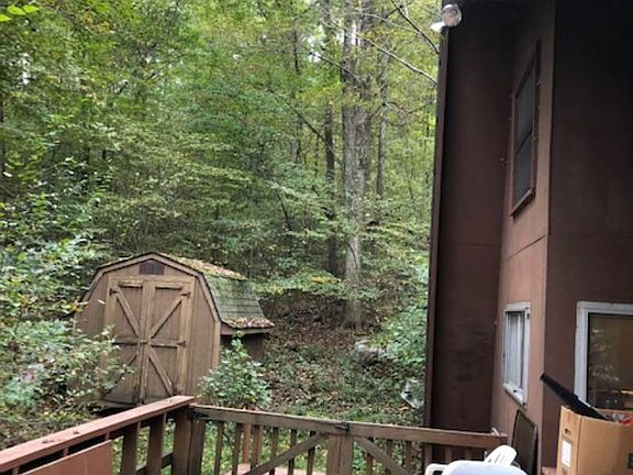 3rd image of 33742 Goodrich Dr