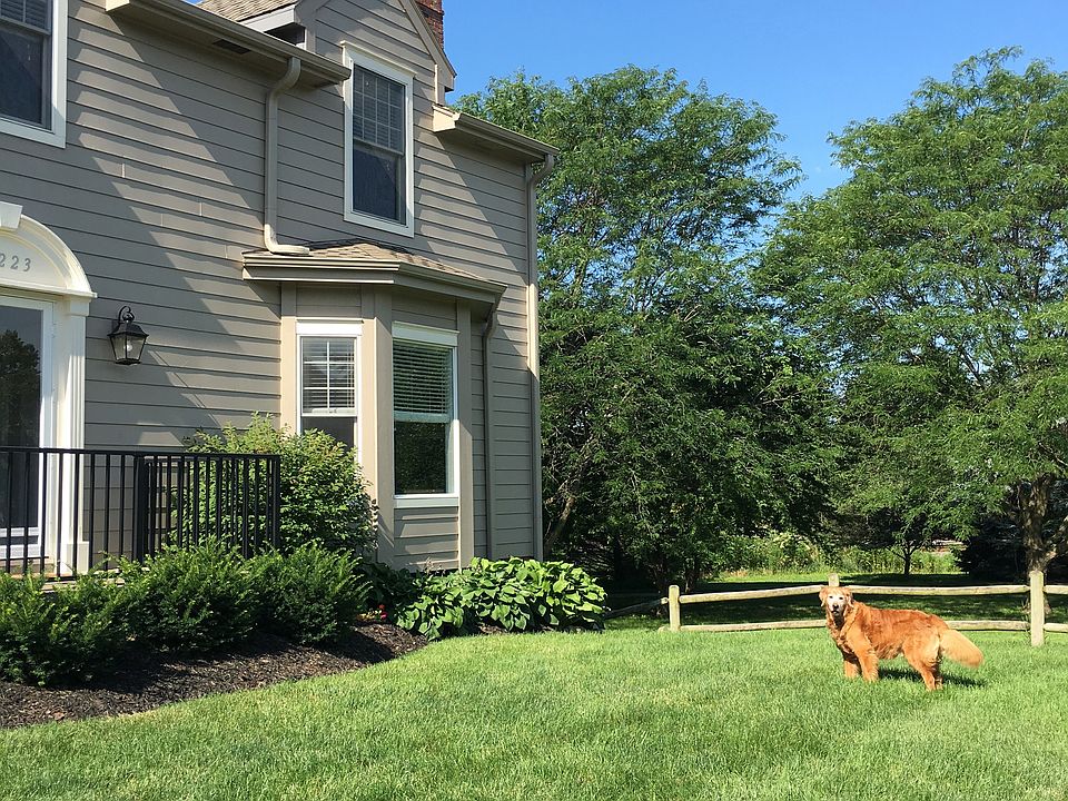 Best Dog Neighborhood!