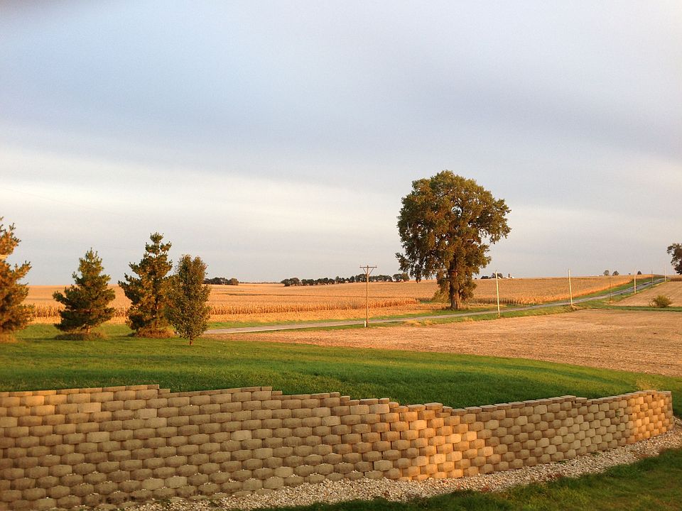 summer view