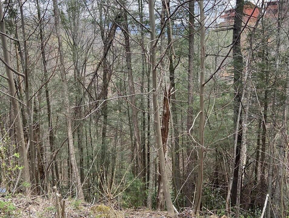 2nd image of LOT 76 Smoky Ridge Way