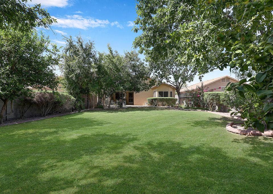 Amazing large backyard with mature trees and multiple fruit trees