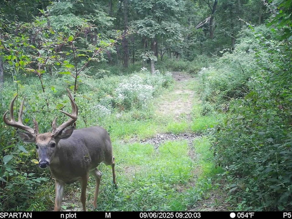 1st image of 0 N County Road 2900