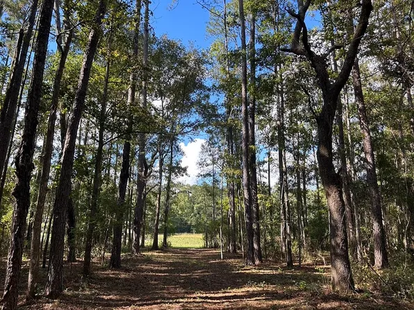 0 Tram Rd, Tallahassee, FL 32311