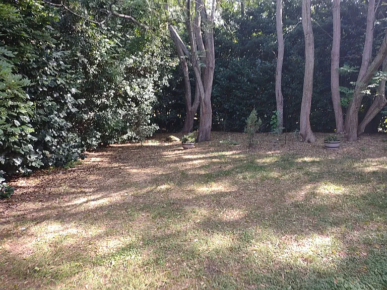 4652 Pooh Corner Dr — Photo 40