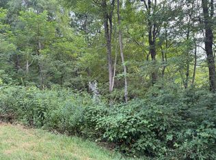 LOT 131 Sunset Mountain Vlg LOT 131, Slatyfork, WV 26291