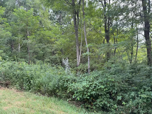 LOT 131 Sunset Mountain Vlg Lot 131, Slatyfork, WV 26291