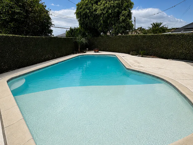 POOL WITH BAJA SHELF
