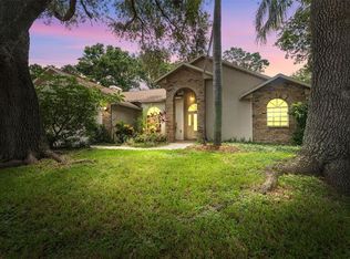 3001 Folklore Dr, Valrico, FL 33596