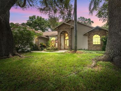 3001 Folklore Dr, Valrico, FL, 33596