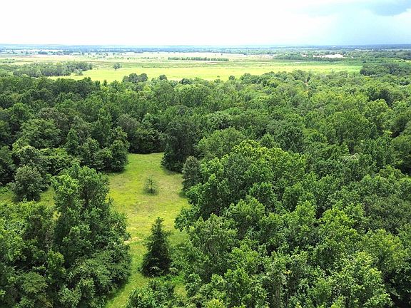 4th image of TRACT 1 County Road 2065