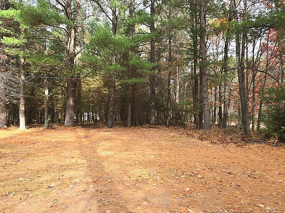 5th image of 4091 Forest Ln