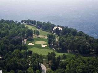 10 Forget Me Not Way, Landrum, SC 29356