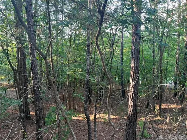 26 Piocha Ln, Hot Springs Village, AR 71909