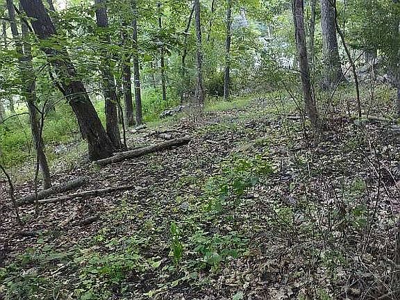 3rd image of 0 Dogwood Ter #17G