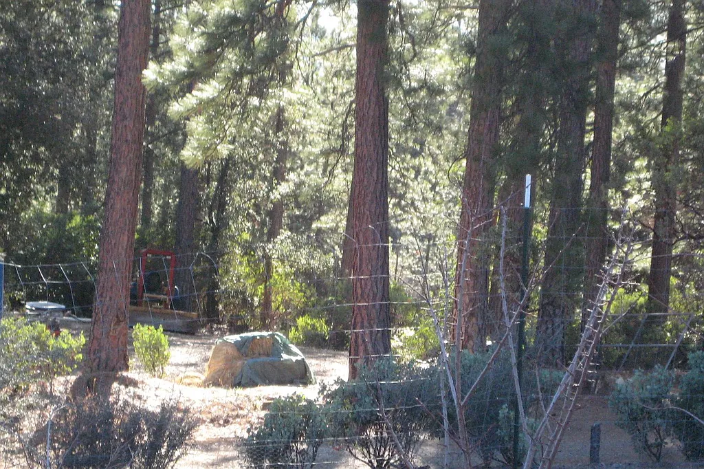 Property photo 5