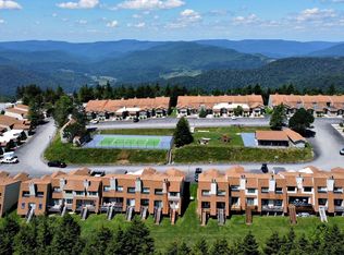 69 Shamrock Cir, Snowshoe, WV 26209