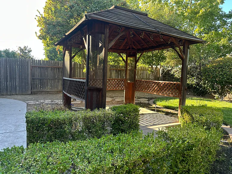 10037 Wild Orchid Way — Photo 31