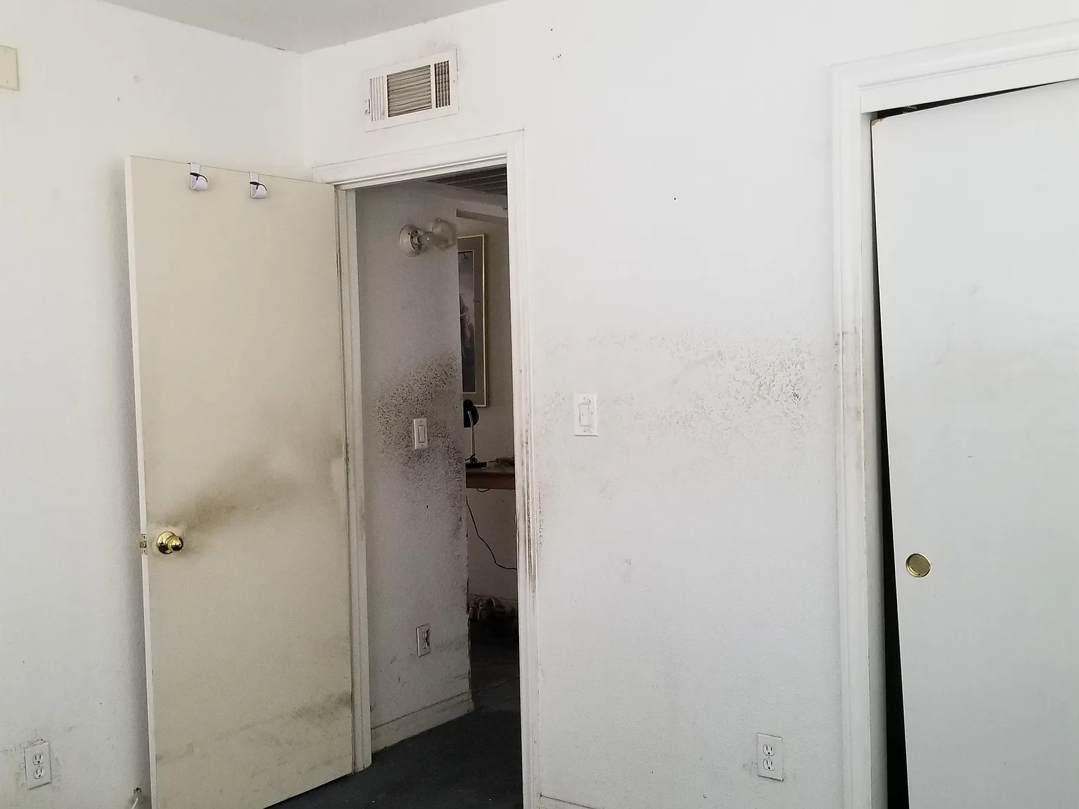 411 S 11th Street - 1 — Photo 4