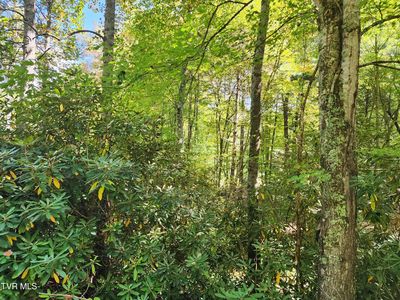 LOT 4 Myrtle Dr, Butler, TN, 37640