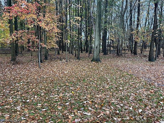 2nd image of 1337 Fox Run Dr