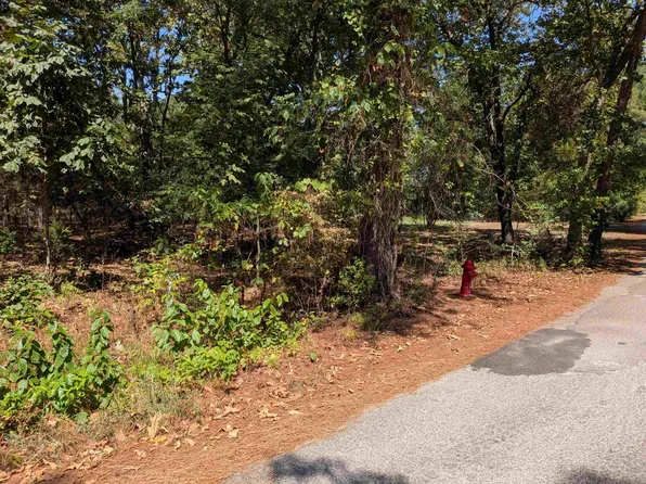 11 Vista Larga Dr, Cherokee Village, AR 72529