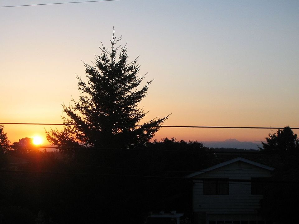 View from House
