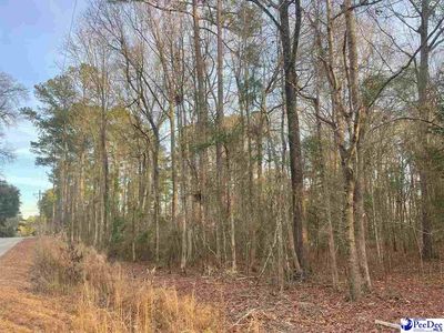 995 Bridlewood Rd, Cheraw, SC, 29520