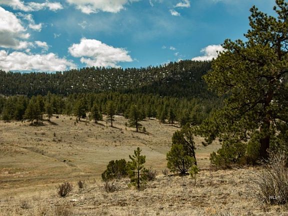 4th image of 2 Camp Dr