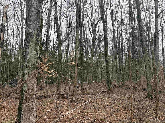 5th image of Chaney Lake Rd Unit 18
